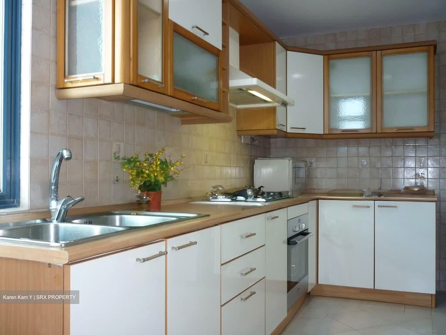 Evelyn Mansions (D11), Apartment #573811701